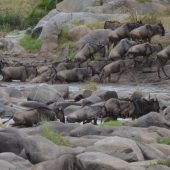  The Serengeti, TZ